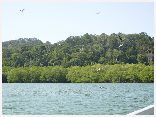 Langkawi Island Malaysia - Langkawi Island and eagles