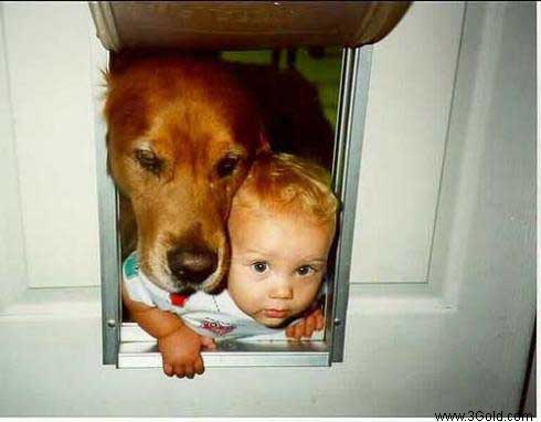 Your baby!. - A baby & his dog!!!.