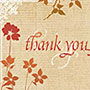 Thank you - A special thank you to everyone who has responded to my discussions