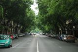 roads , woods ,street - roads , woods, street