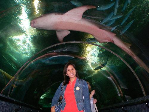 a striking pose wd a shark - sentosa island, singapore 2007