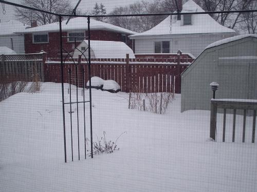 This morning's snow pic - This is taken from ,y patio door at 8:40am Feb. 26,2007 in Hamilton, ON Canada.