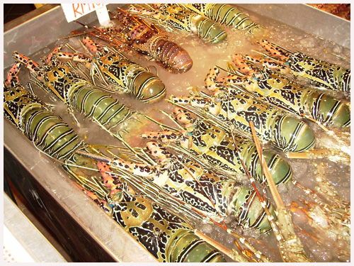 Malaysian Lobster - Malaysian Lobster at Langkawi Island