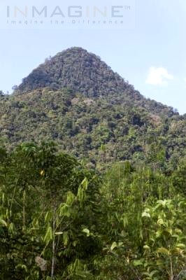 Mountain View - Mountain View at Malaysia