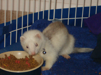Shayla - This is my Shayla baby at 2 months