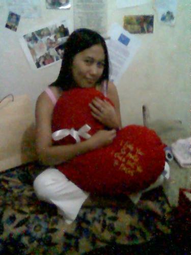 stuffed toys - my girlfriend and the heart-shaped pillow 