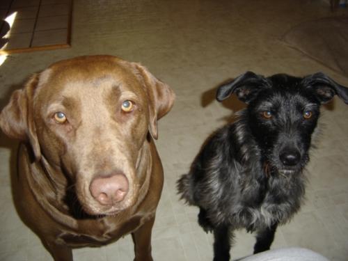 Lexie and Jada - My good girls