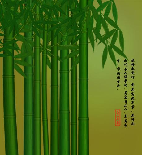 Bamboo - wander land of bamboo