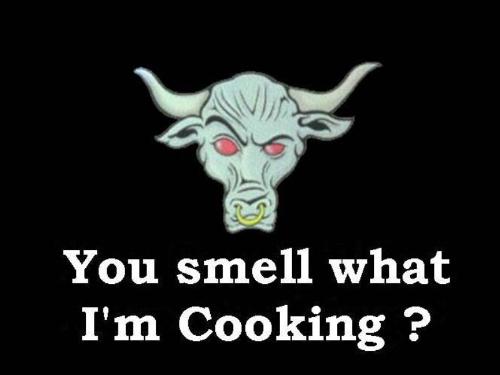 bull - rock's bull