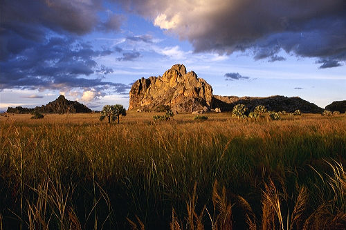 Love nature - When ever you feel bored or depressed look at the nature and beauty of it,it will have apositive impact on your life.