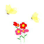 flowers - flowers with butterfly