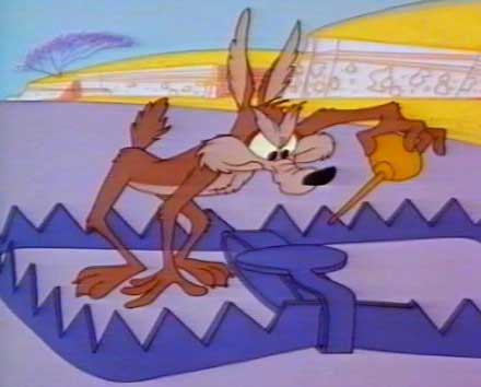 What happen next ? - Wile E Coyote from Roadrunner Show