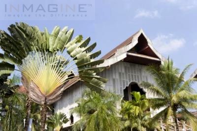 Malaysian traditional House scenery  - Malaysian scenery