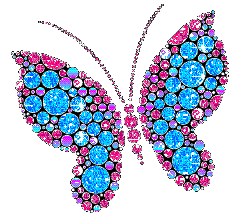 butterfly - do you love it ? this is my first time to post a photo