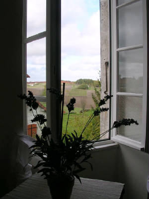 The world outside my bedroom - Don't you just love to wake up on a new day seeing vast greenery outside your bedroom window.