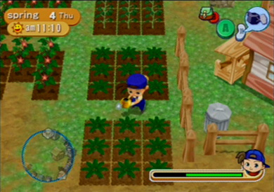 Harvest Moon - Harvest Moon Magical Melody screen shot using the boy as the main character.