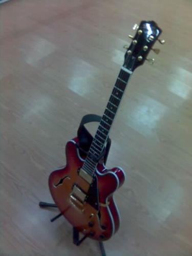 my elc guitar - sounds good, low price, looks like Gibson E335(little different)