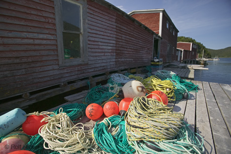 Newfoundland - A place to raise a family