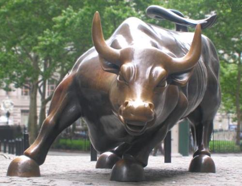 bull - amazing bull
