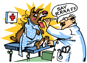 Can a dog get the flu? - Is it possible for a dog to get the flu from a human?