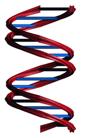 dna - DNA double helix