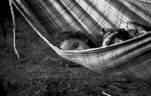 child sleeping - child sleeping with animals