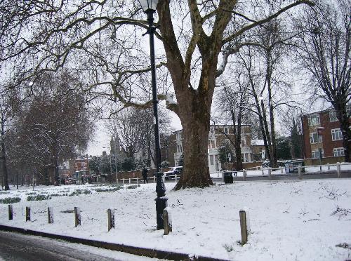 A bit of snow - London had snow on 8th February 2007 (for half a day or so) - and I managed to get a photo of some of it!