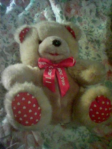 Teddy bear - Brown teddy bear