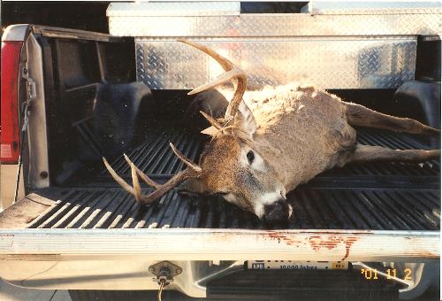 My deer - Deer I shot 3 years ago