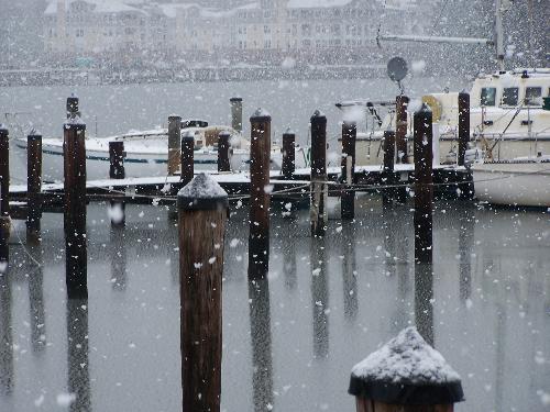 community docks getting snow - huge snowflakes on the water
