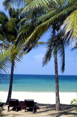 Beautiful beach and coconut tree - Malaysian Scenery