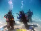 scuba diving - scuba diving with your friend under the sea