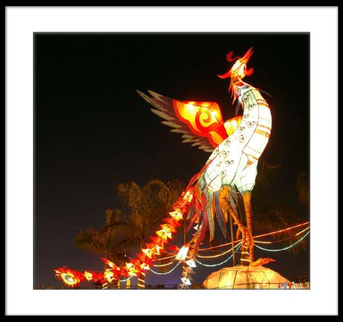 Festival Lights - Lights used to decorate during festivals