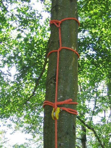 arborist rope - This is My Lot