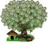 tree full of money without no space - A tree full of money without no space to see the leaves