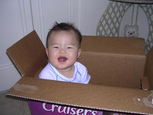 Cutie in a box - He wanted out!