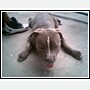 smokie - smokie 1 year
