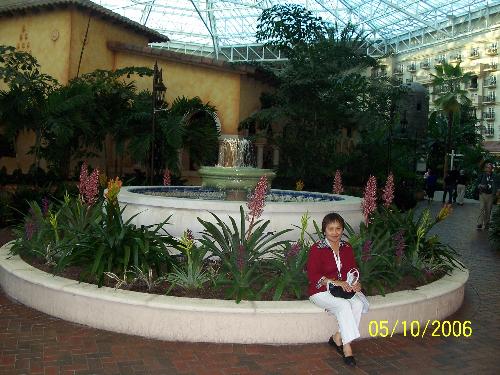 Beautiful garden - Taken at the Gaylord Hotel, Orlando, Florida.