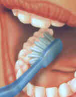 brush the teeth - brush the teeth