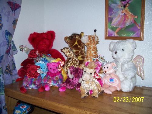 beanie babies - This is a larger selection of my beanies.