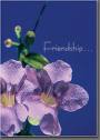 friends - friends on mylot