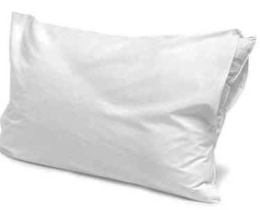 Pillow - A very common type of pillow.