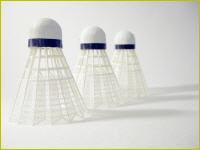 shuttle cock - let's play badminton
