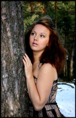 forest_sprit - sprit photo