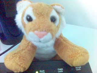 my tiger - stuff toys