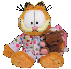 Garfield - cat