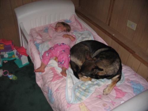 true love - 1st born and dusty