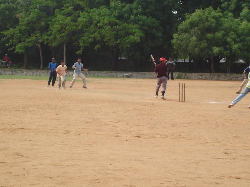 playing cricket - playing great game of cricket