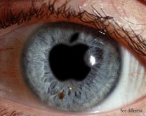 eye - eyeball