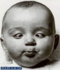 cute baby - a very cute baby